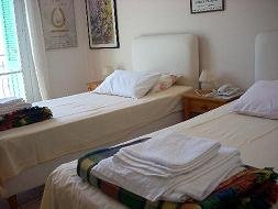 Andros hotels Blue Dolpin Hotel Batsi