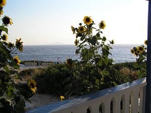 Iliovasilema rooms studios and apartments Donoussa