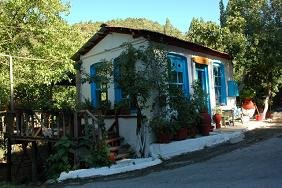 Lesbos Hotels Hotel, Olive Grove