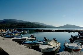 Lesbos Hotels Hotel, Olive Grove