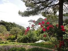 Corfu, Anna Pension in Liapades