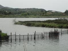 Corfu, Antinioti lagoon