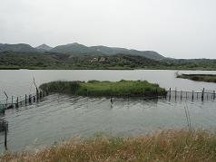 Corfu, Antinioti lagoon