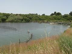 Corfu, Antinioti lagoon