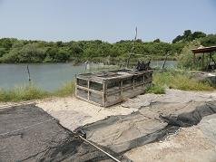 Corfu, Antinioti lagoon