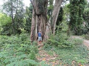 Corfu Town, Mon Repos