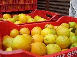 Alikianos, Crete, Kreta.