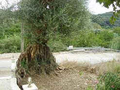 Loutraki, Crete, Kreta.