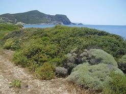Antiparos