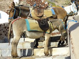 Ammoudi in Santorini