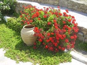 Villa Konstantin in Mykonos town