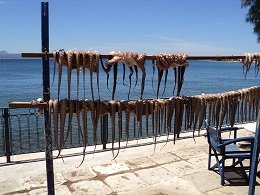 Amarynthos Evia