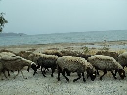 Karystos Evia