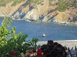 Bel Mare Ayioi Apostoloi Evia