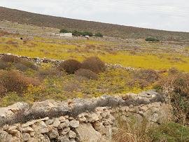 Folegandros