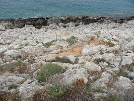 Folegandros