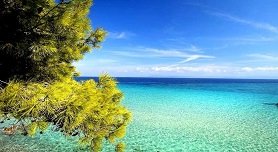 Hotel Agni On The Beach in Sarti, Halkidiki