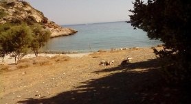 Ikaria