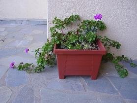 Hotel Apartments Maison Eriki, Crete