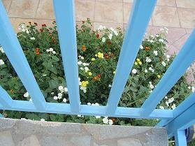 Garden Apartments in Analipsi.