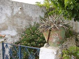 Kefalas, Apokoronas, Crete