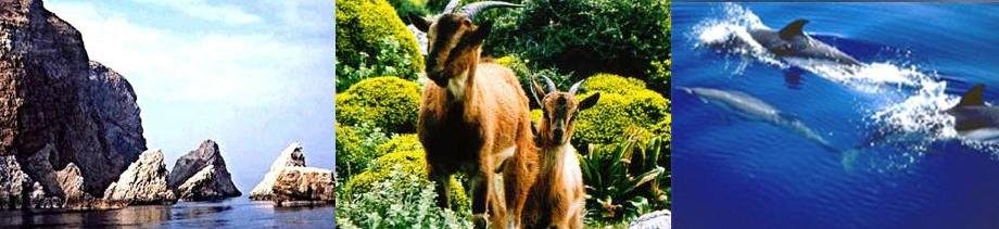 Alonissos Marine Park