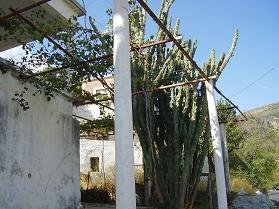 Moni, Sougia, Kreta, Crete