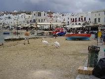 mykonos