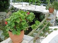 Andros, Paleopolis