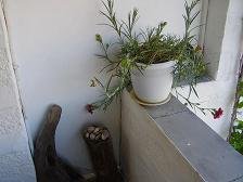 Patmos, Hotel Mathias Studios