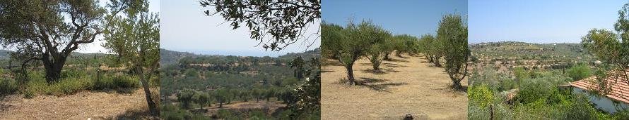 Griekenland onroerend goed