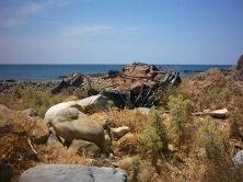 Sfinari Beach - Sfinari strand.