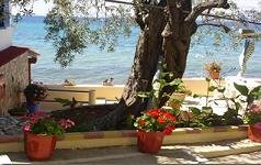 Thassos, Studios Plaka.