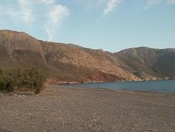 Tilos