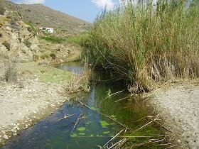 Andros beach, Andros Strand
