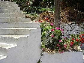 Fourni Town, Fourni stad