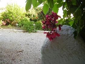 Samos, Ioannas Studios