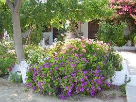 Samos, Ioannas Studios