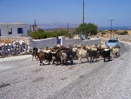 Iraklia