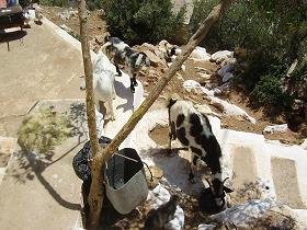 Samos, Limnionas Beach