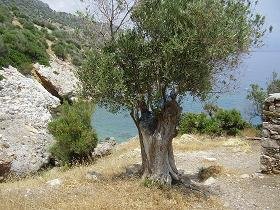 Samos, Limnionas Beach