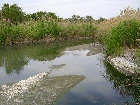 Lesbos Molyvosor Mithimna