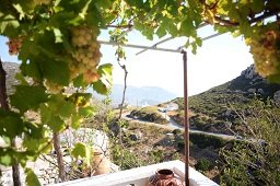 La Villa di Zazopetra, Menetes, Karpathos