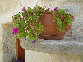 Ariana's Place, Kastelli Kissamos, Kreta, Crete