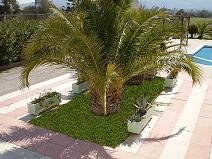 Kos, Leonidas Hotel