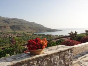 Kato Zakros, Terra Minoika Villas.