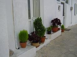 Agathia Crete, Kreta