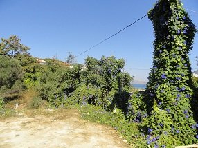 Almyrida, Almirida Beach, Kreta, Crete