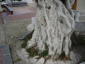 Armeni, Kreta, Crete.