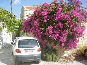 Aspro, Sophia's House, Villa in Crete, Almirida, Almyrida, Kreta